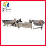青縣北海機(jī)械廠 豆制品與麻辣條生產(chǎn)線設(shè)備專業(yè)供應(yīng)商
