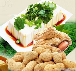 千篇一律的產(chǎn)品終被淘汰 水果豆腐如何成為豆制品市場的新寵